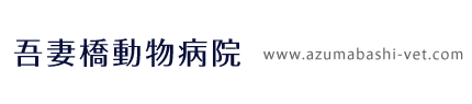 吾妻橋動物病院
