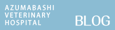 吾妻橋動物病院のブログ
